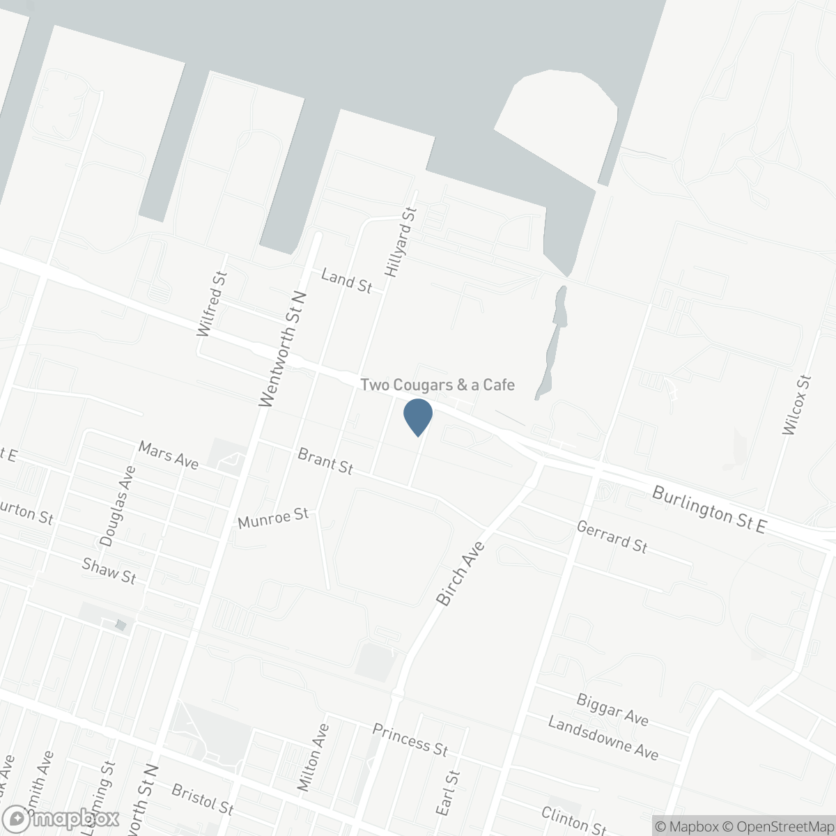 29 MCKINSTRY STREET, Hamilton, Ontario L8L 6C2